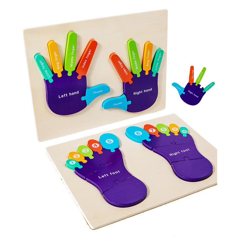 Wholesale Montessori Cognition Hands And Feet Teaching Toy
